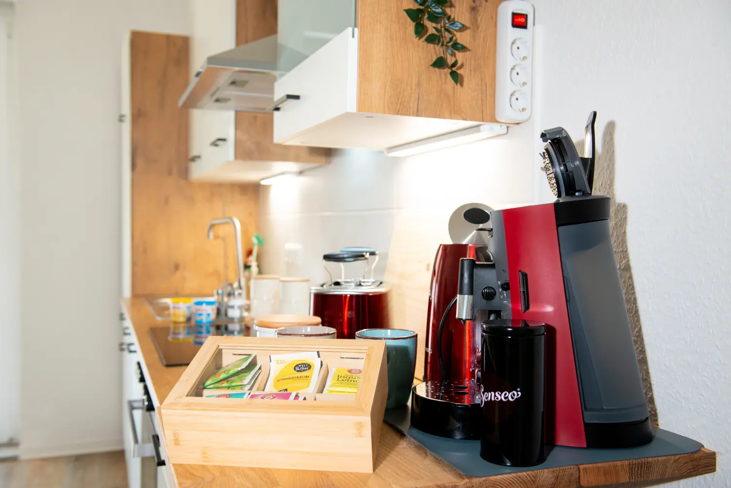 Wohnen von Savor Appartements